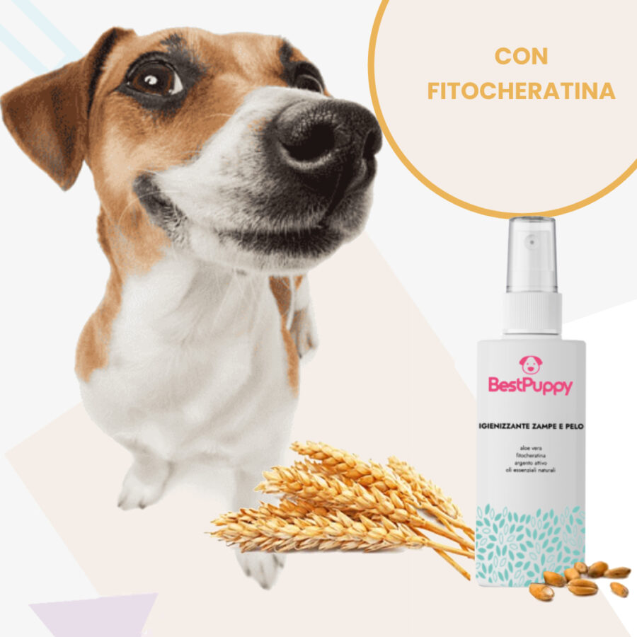 bestpuppy-IGIENIZZANTE-FITOCHERATINA