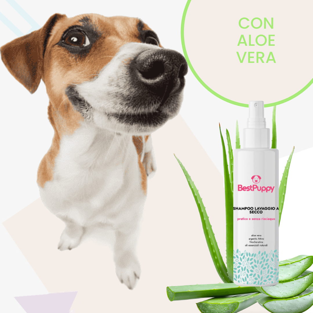 shampo-secco-cani-aloe-bestpuppy