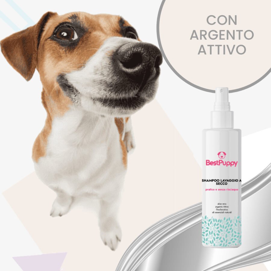 shampo-secco-cani-argento-bestpuppy
