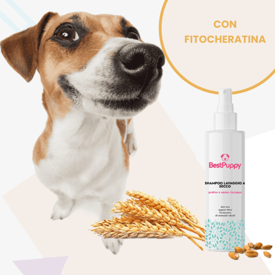 shampo-secco-cani-fitocheratina-bestpuppy