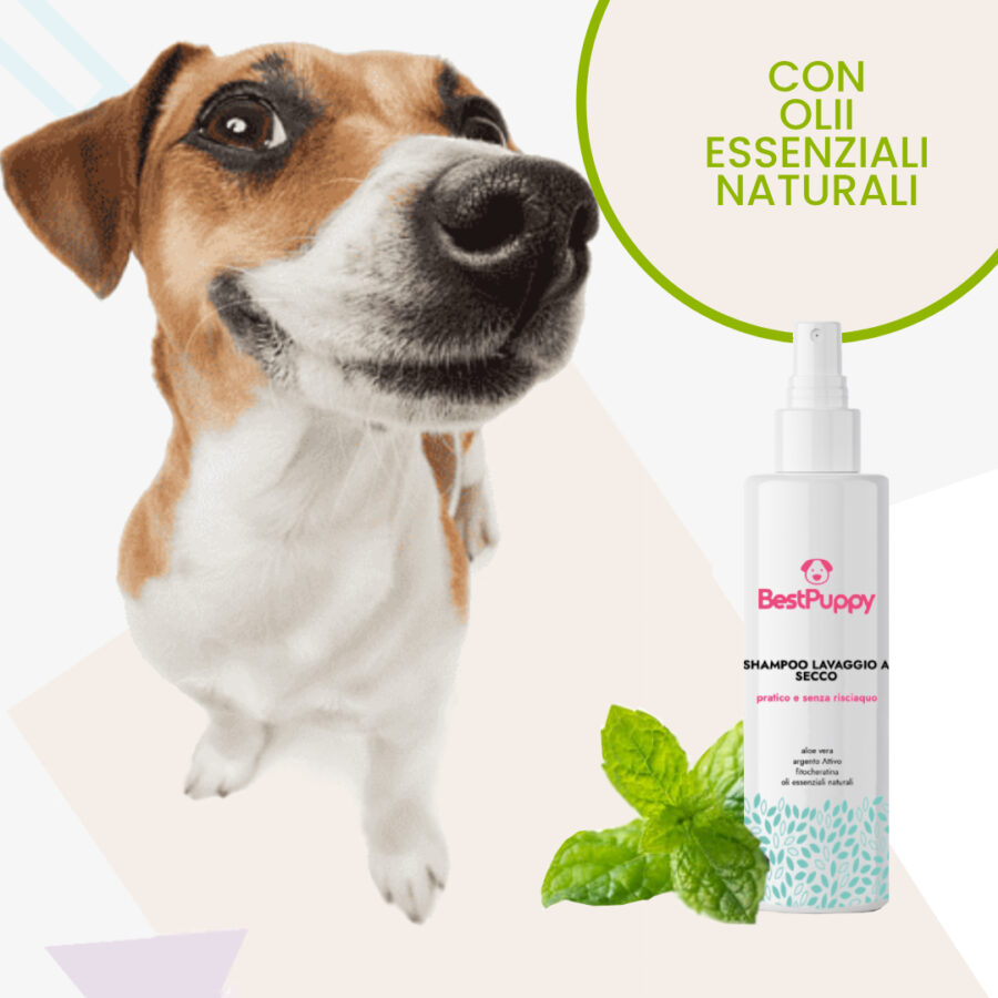 shampo-secco-cani-olio-essenziale-bestpuppy